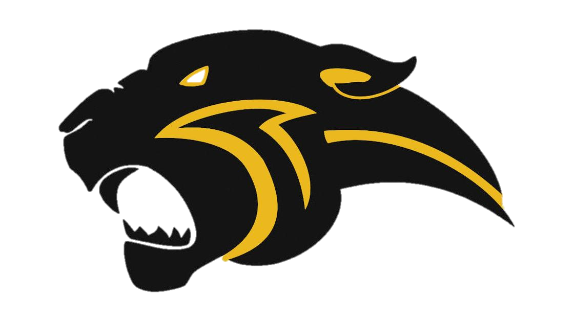 Yellow and Black panther logo image 